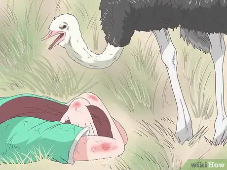Image titled Survive an Encounter with an Ostrich Step 5