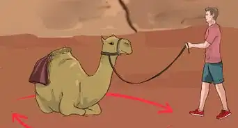 Regain Control of a Spooked Camel